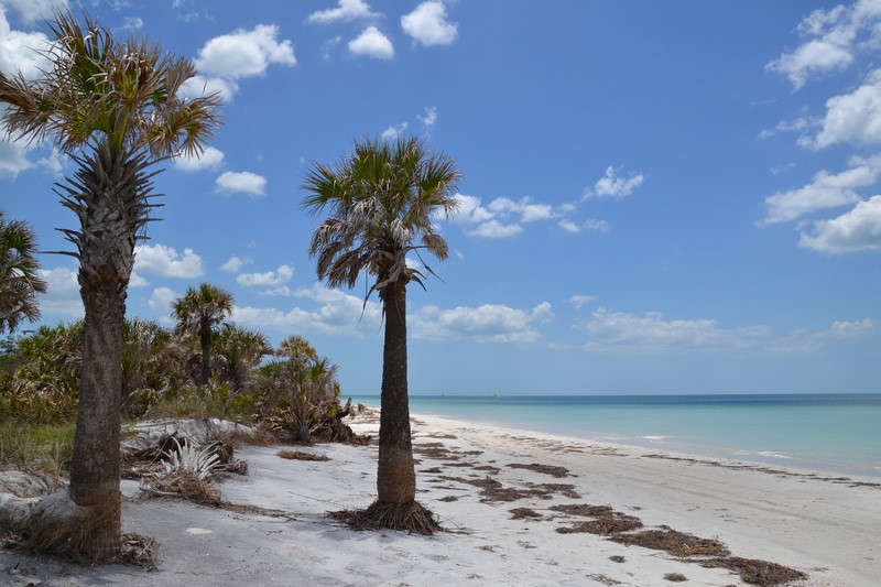 DSC_0524 (Kopiowanie).JPG