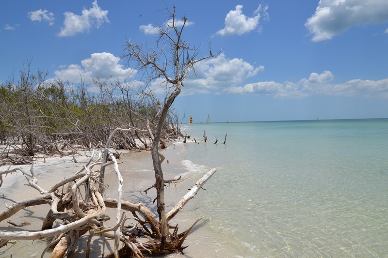 DSC_0566 (Kopiowanie).JPG