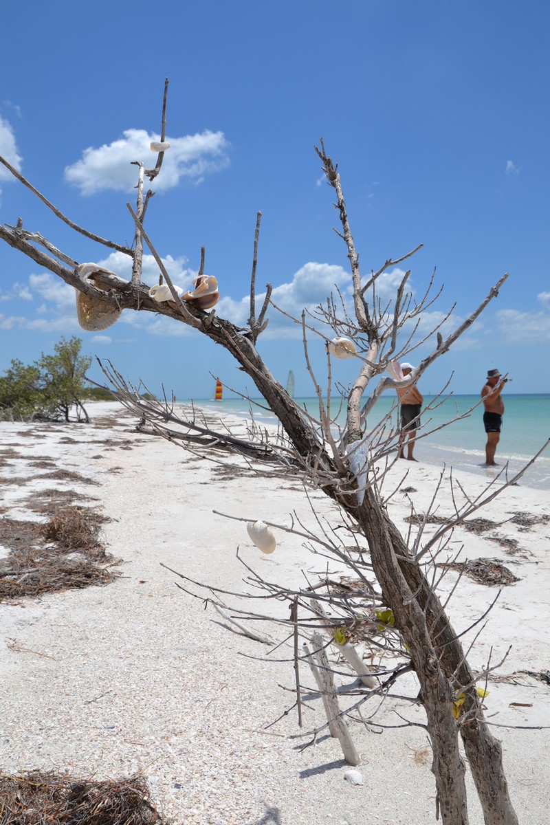 DSC_0580 (Kopiowanie).JPG