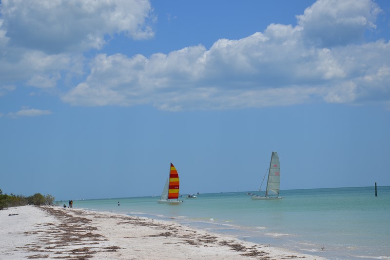 DSC_0586 (Kopiowanie).JPG