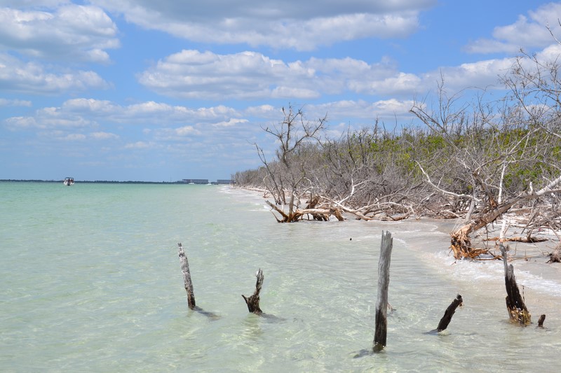 DSC_0590 (Kopiowanie).JPG