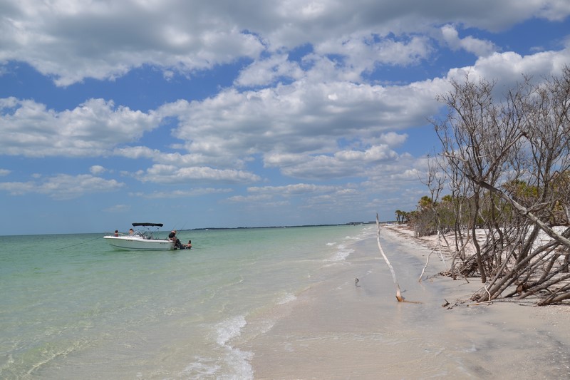 DSC_0602 (Kopiowanie).JPG