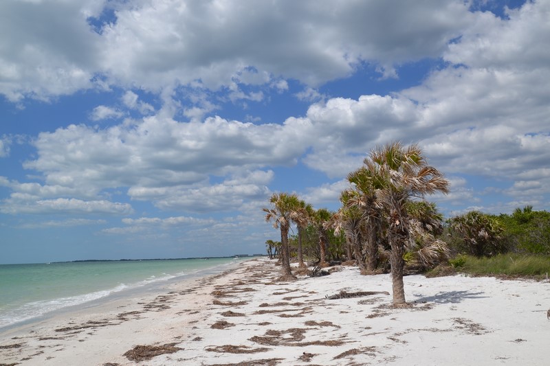 DSC_0604 (Kopiowanie).JPG