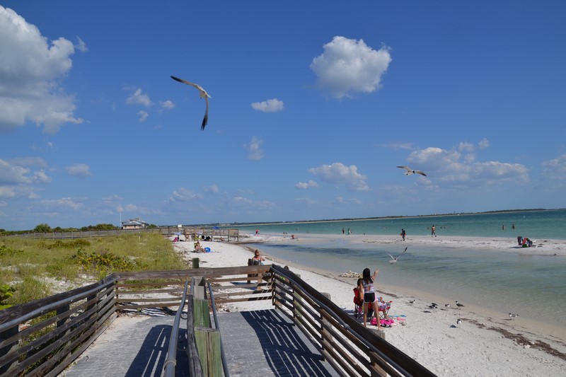 DSC_0647 (Kopiowanie).JPG