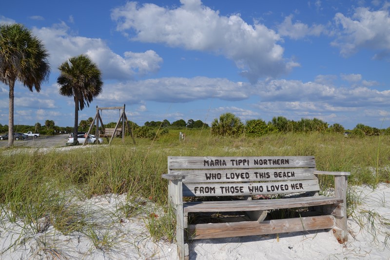 DSC_0662 (Kopiowanie).JPG