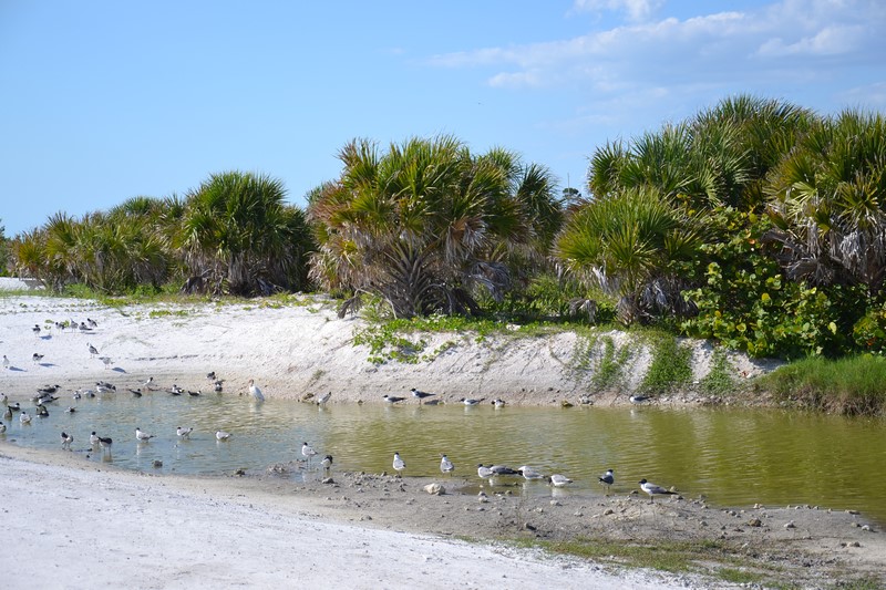 DSC_0681 (Kopiowanie).JPG