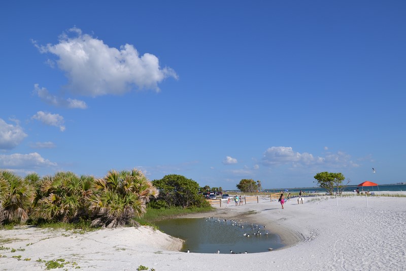 DSC_0699 (Kopiowanie).JPG