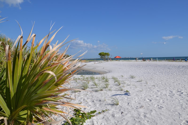 DSC_0700 (Kopiowanie).JPG