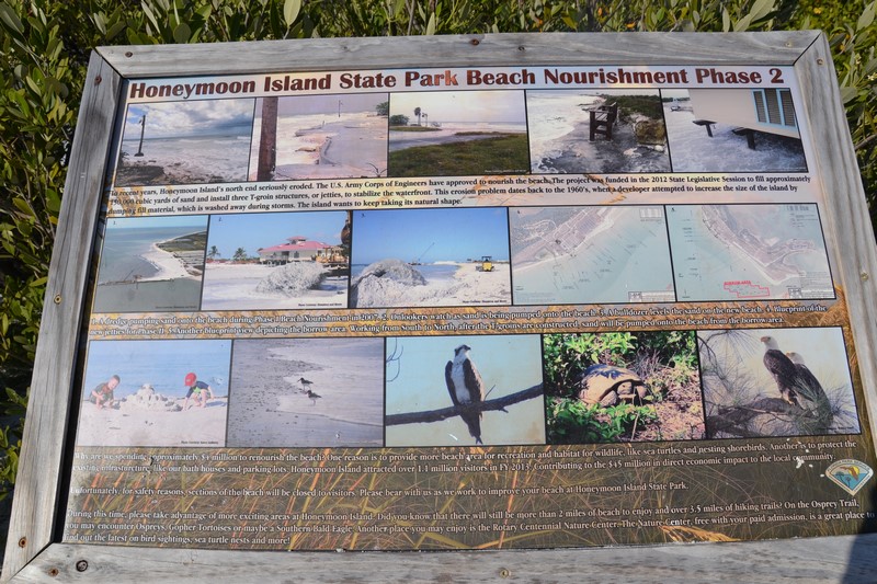 DSC_0703 (Kopiowanie).JPG