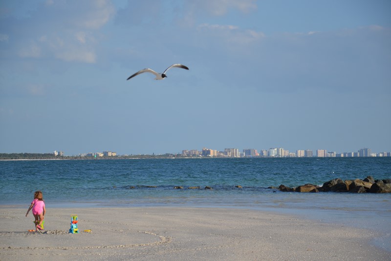 DSC_0774 (Kopiowanie).JPG