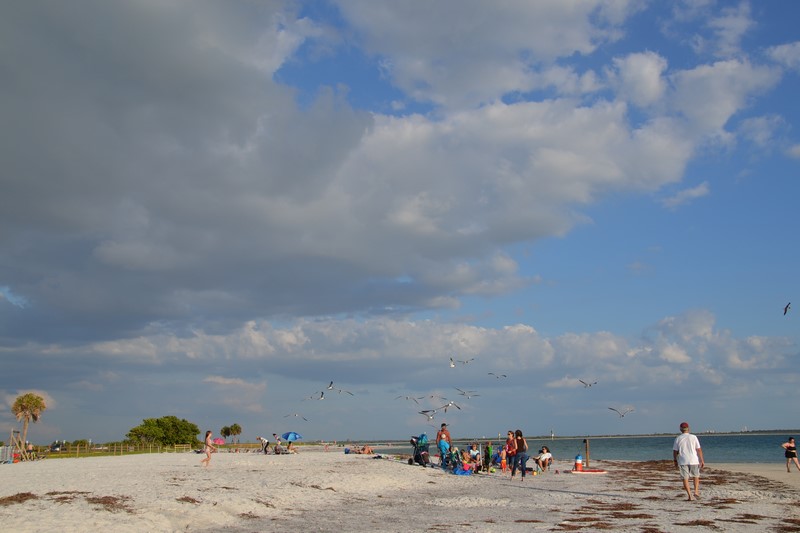 DSC_0775 (Kopiowanie).JPG