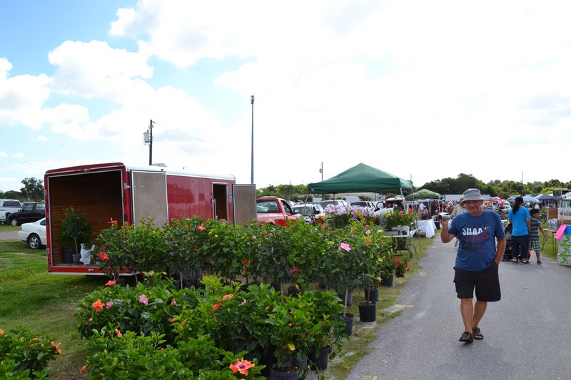 DSC_0816 (Kopiowanie).JPG