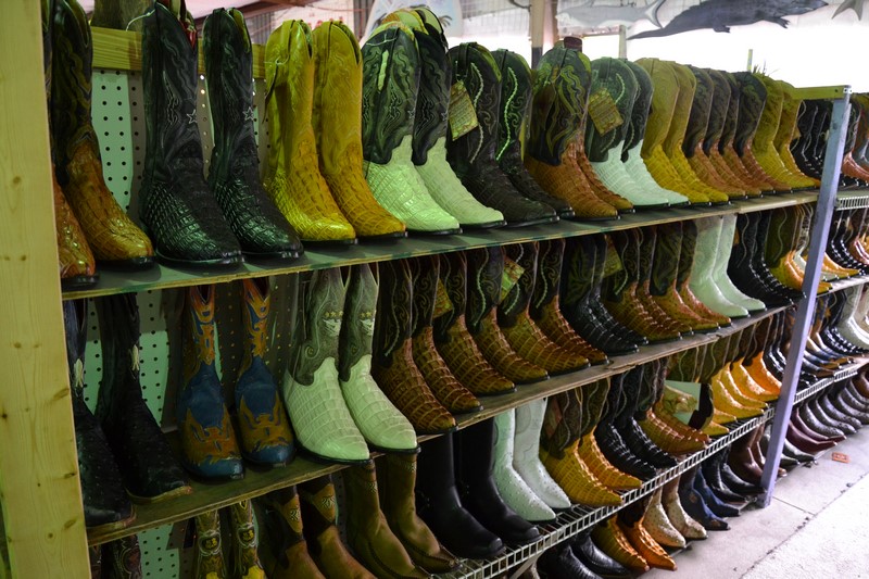 DSC_0824 (Kopiowanie).JPG