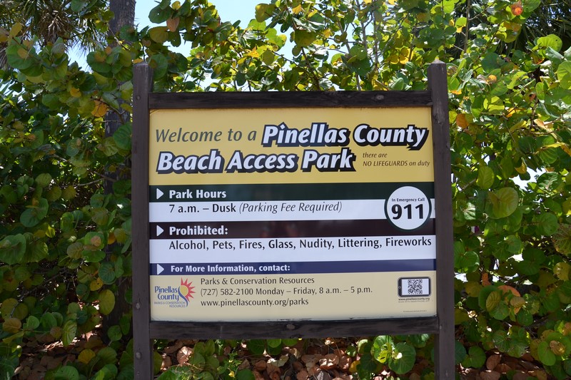 DSC_0847 (Kopiowanie).JPG