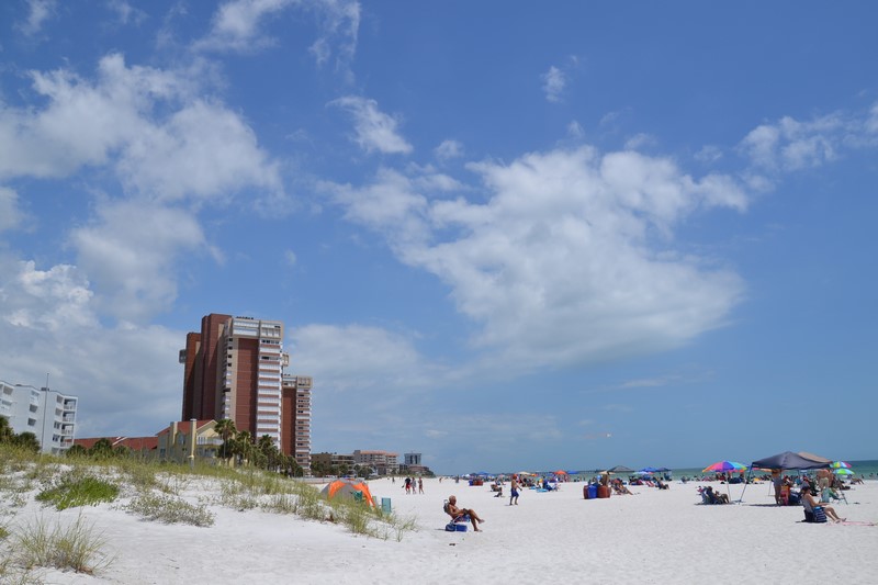 DSC_0848 (Kopiowanie).JPG