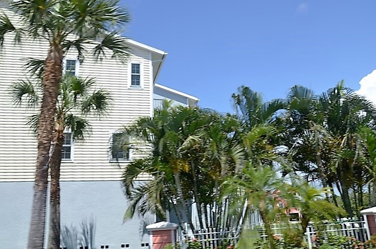 DSC_0870 (Kopiowanie).JPG