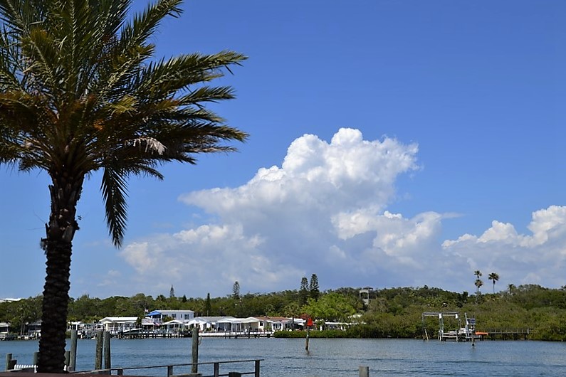 DSC_0891 (Kopiowanie).JPG