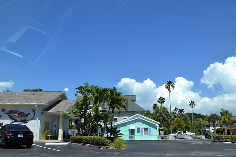 DSC_0911 (Kopiowanie).JPG