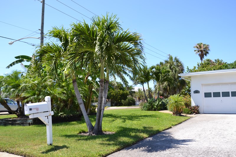 DSC_0929 (Kopiowanie).JPG