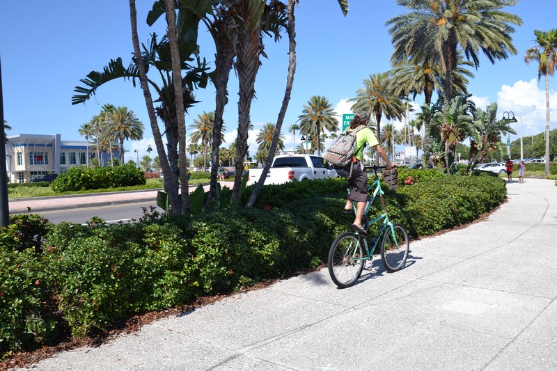 DSC_0014 (Kopiowanie).JPG