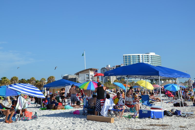 DSC_0100 (Kopiowanie).JPG