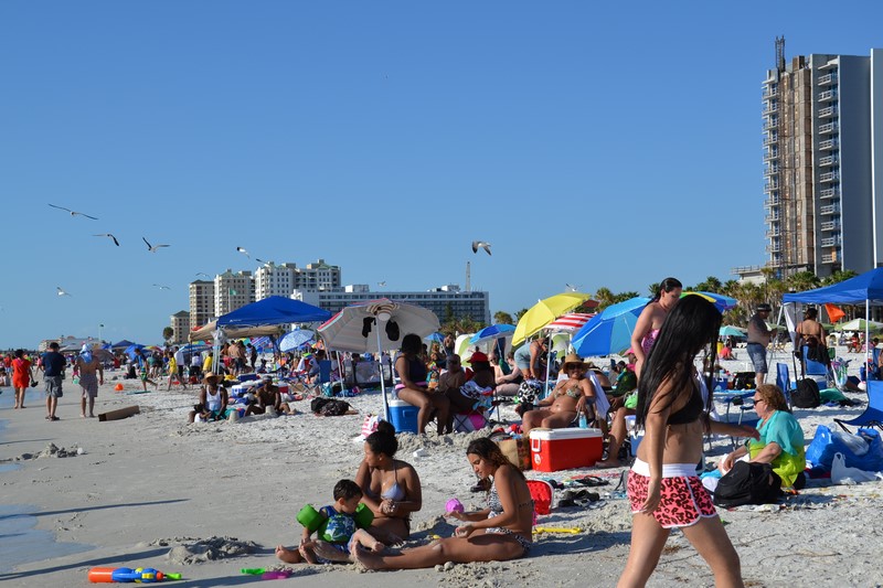 DSC_0105 (Kopiowanie).JPG