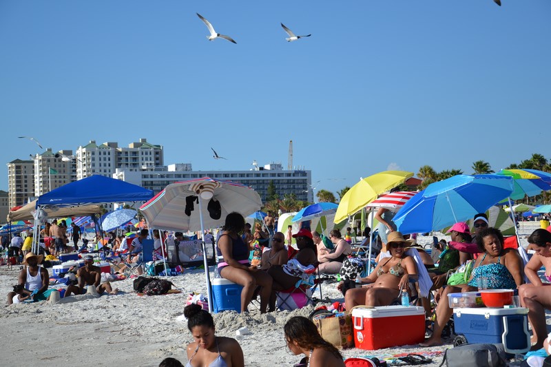 DSC_0106 (Kopiowanie).JPG