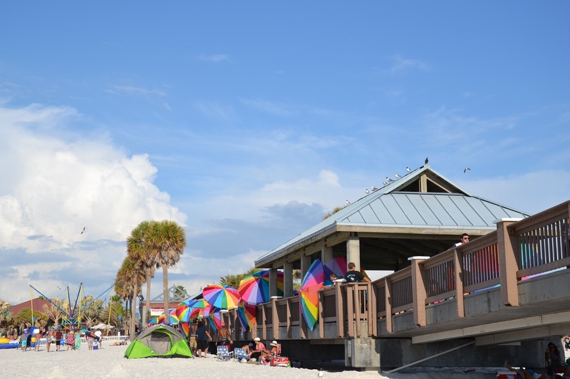 DSC_0137 (Kopiowanie).JPG