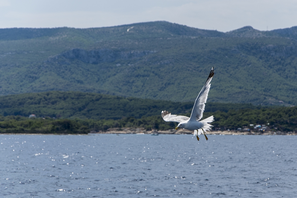 2015-07-31 12-23-26.jpg