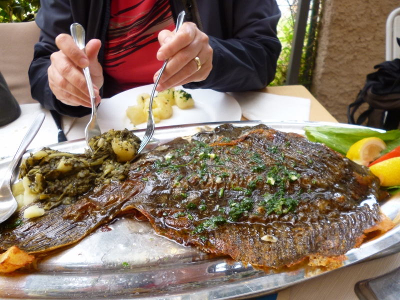 P1020430 (800x600).jpg P1020430 (800x600).jpg