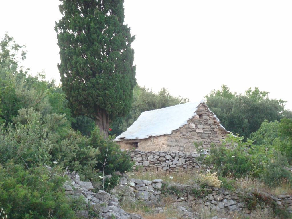 DSC03735 (1024x768).jpg