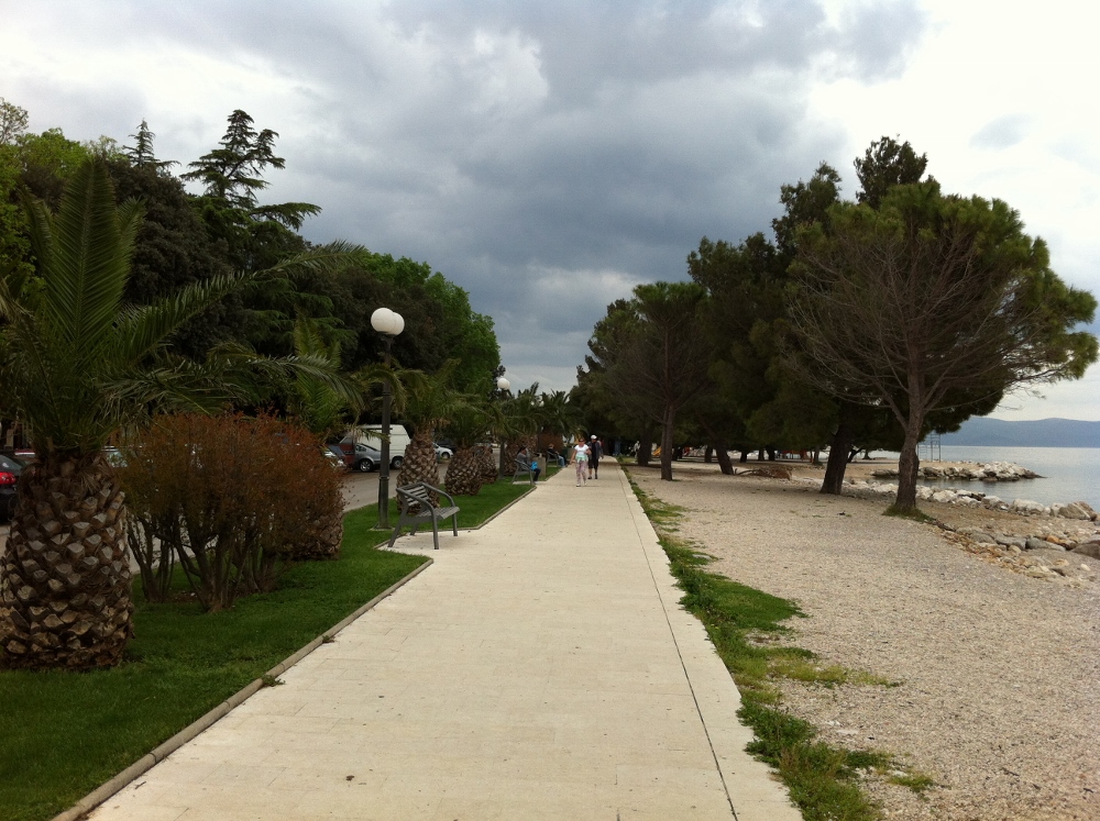 IMG_1879 (1000x747).jpg