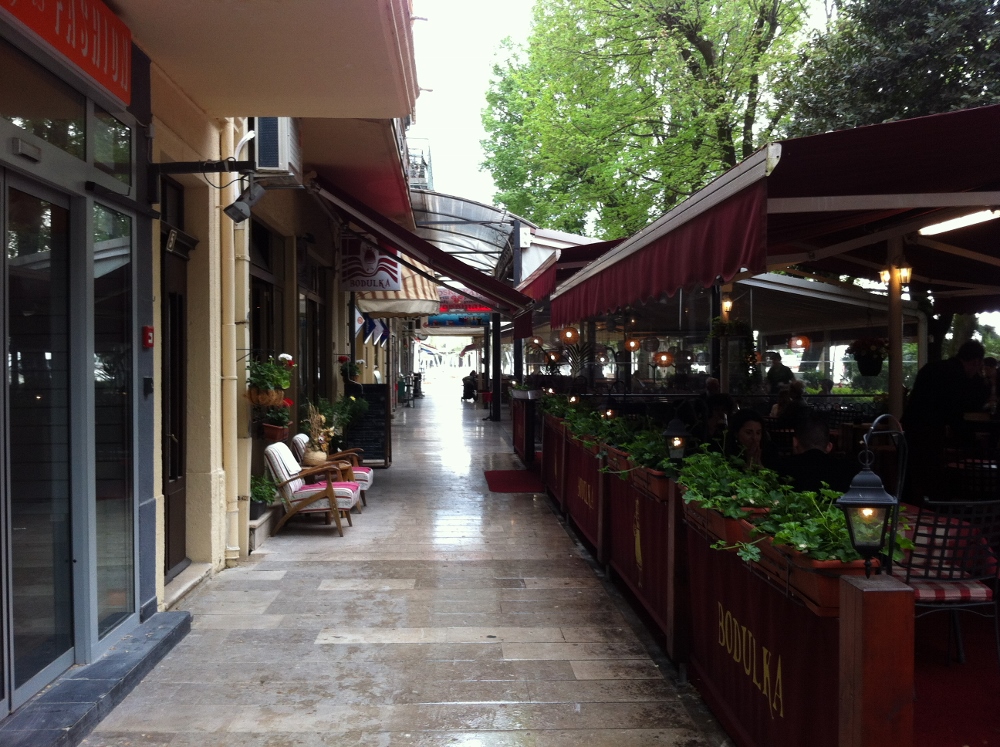 IMG_1993 (1000x747).jpg