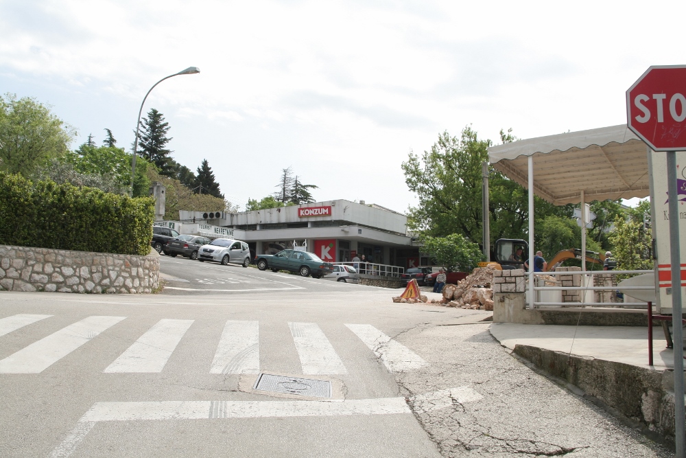 IMG_2666 (1000x667).jpg