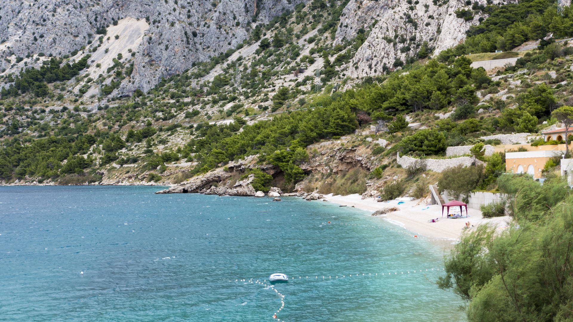 P1040089 (Kopiowanie).jpg