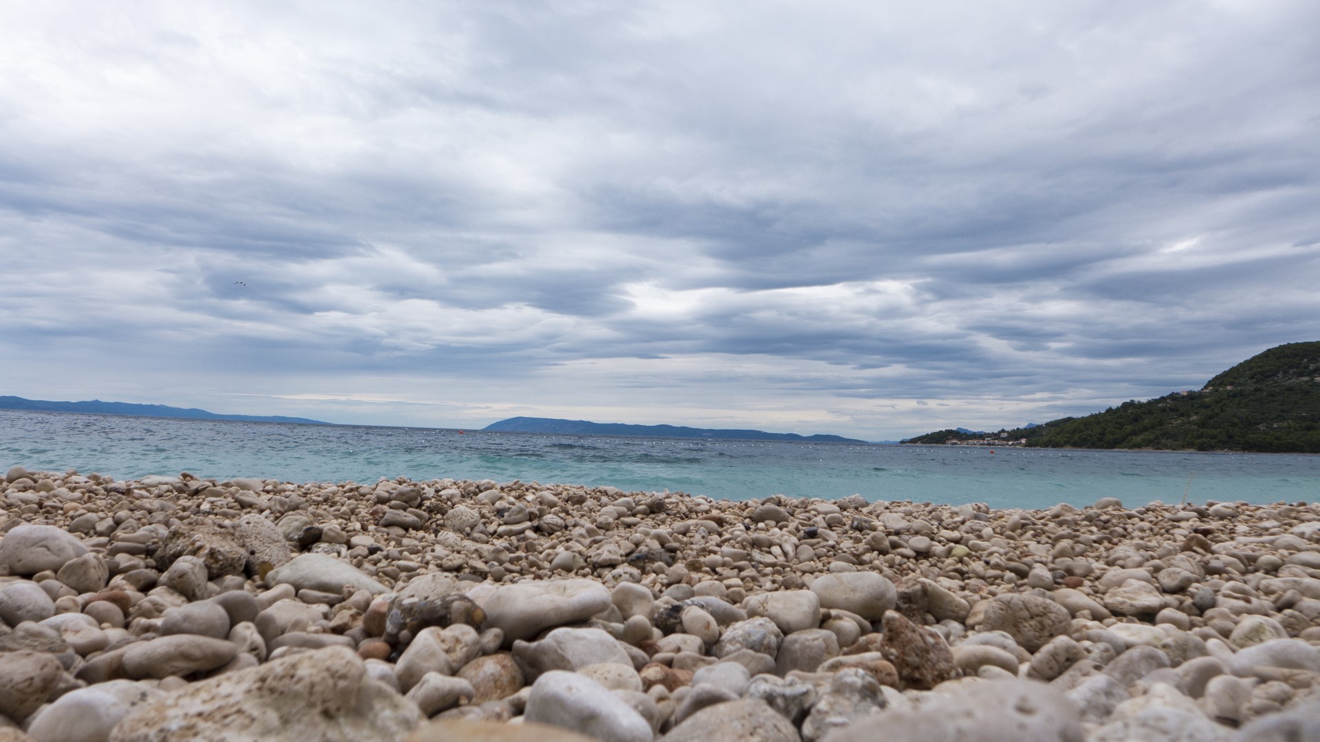 P1040108 (Kopiowanie).jpg