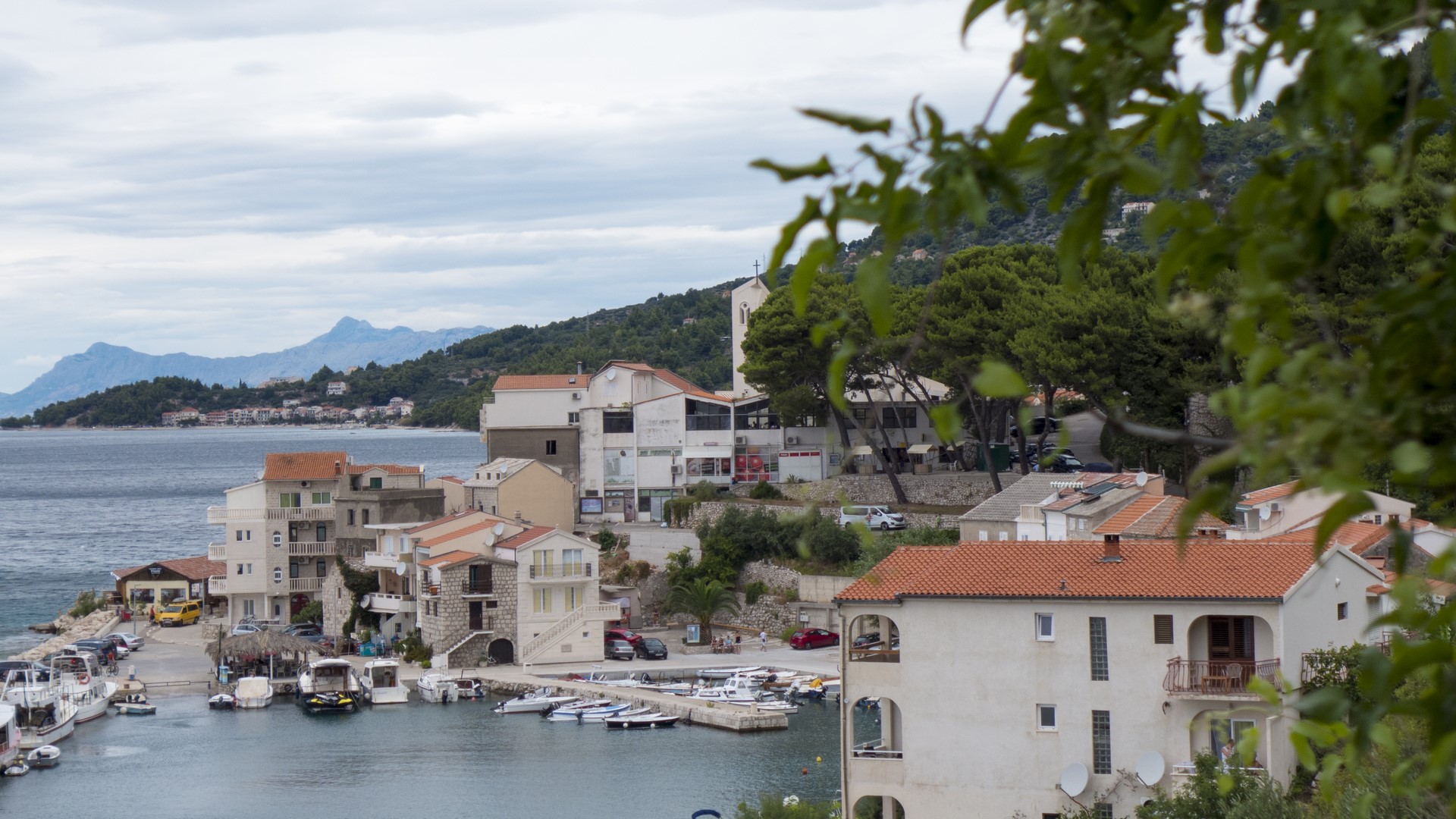 P1040135 (Kopiowanie).jpg