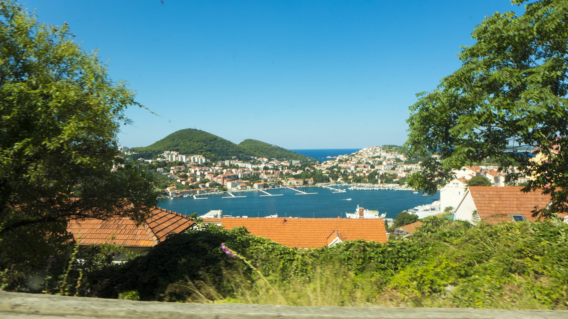 P1040199 (Kopiowanie).jpg P1040199 (Kopiowanie).jpg