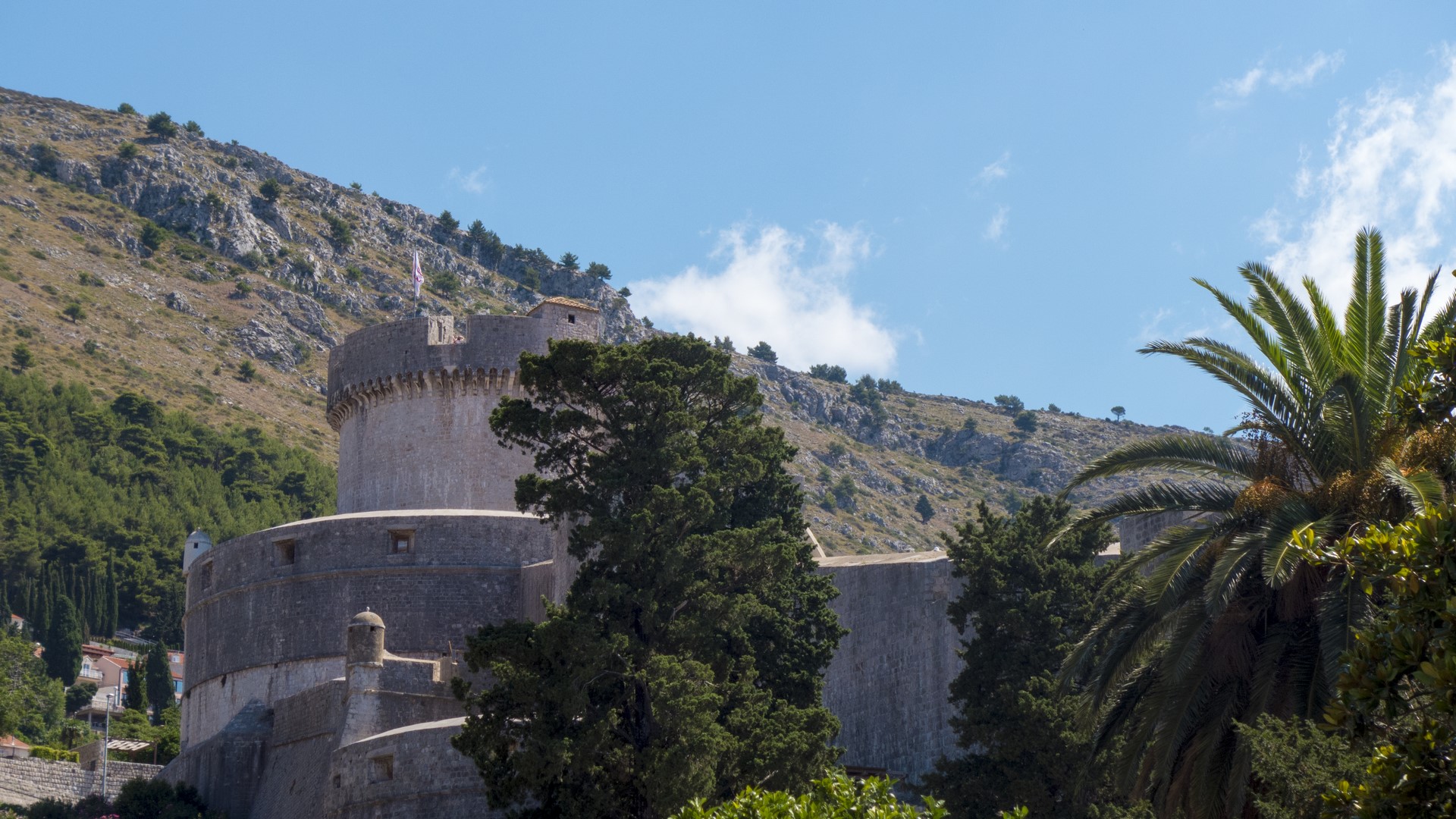 P1040214 (Kopiowanie).jpg P1040214 (Kopiowanie).jpg