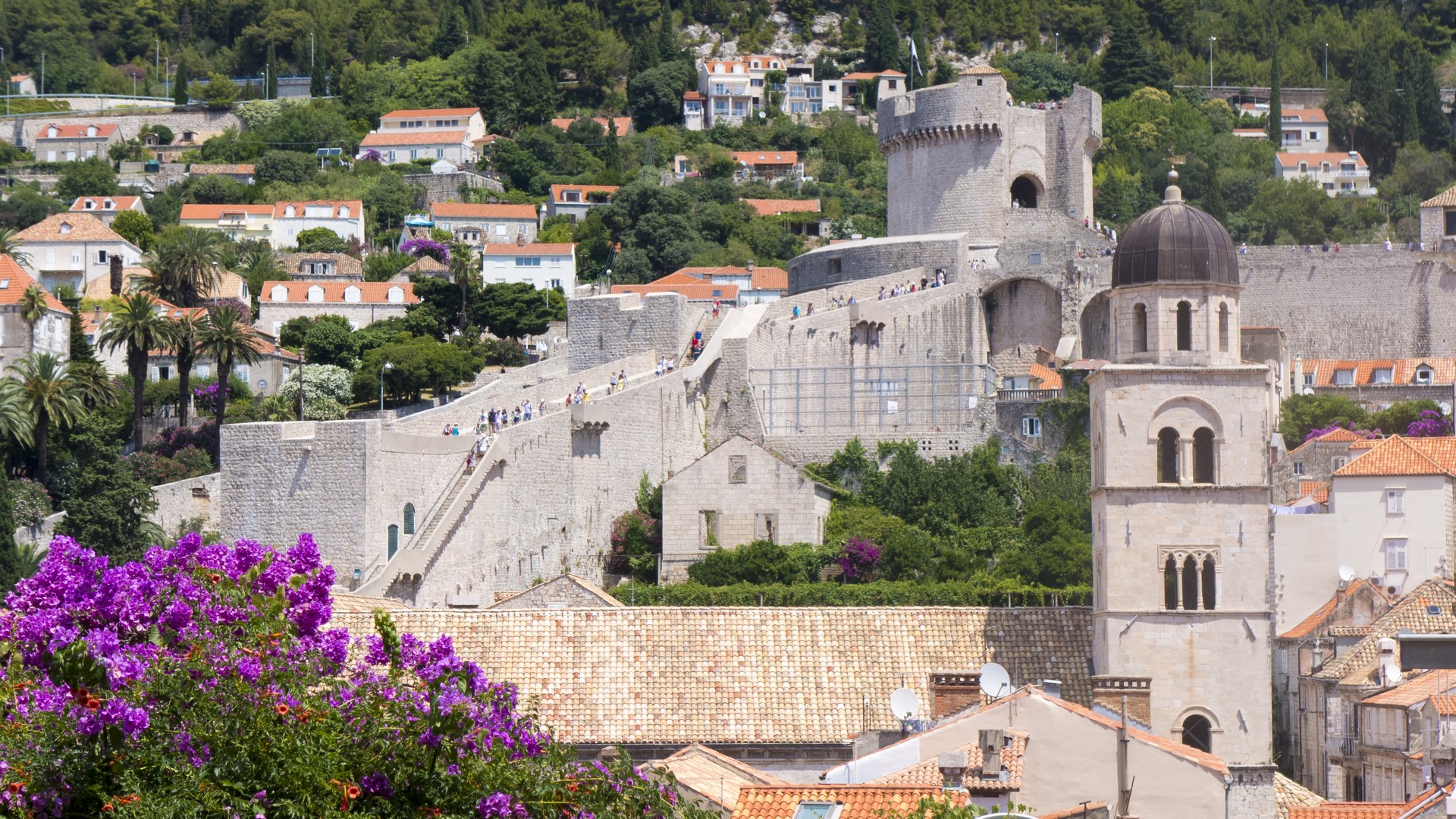 P1040299 (Kopiowanie).jpg P1040299 (Kopiowanie).jpg