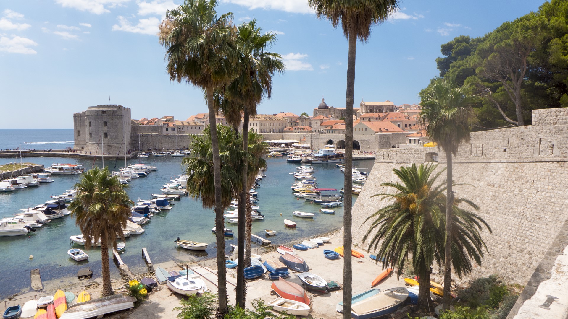 P1040326 (Kopiowanie).jpg P1040326 (Kopiowanie).jpg