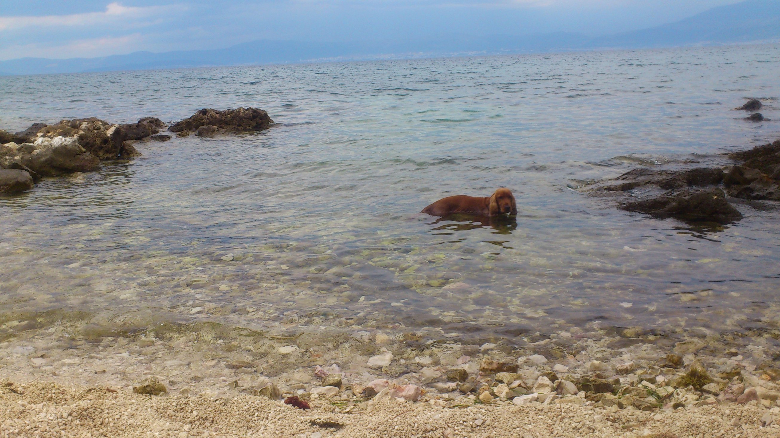 Wejście do wody / wejście do wody.JPG wejście do wody.JPG