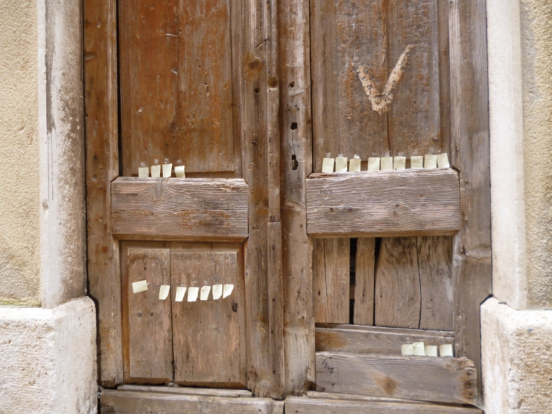 P1010704 (800x600).jpg