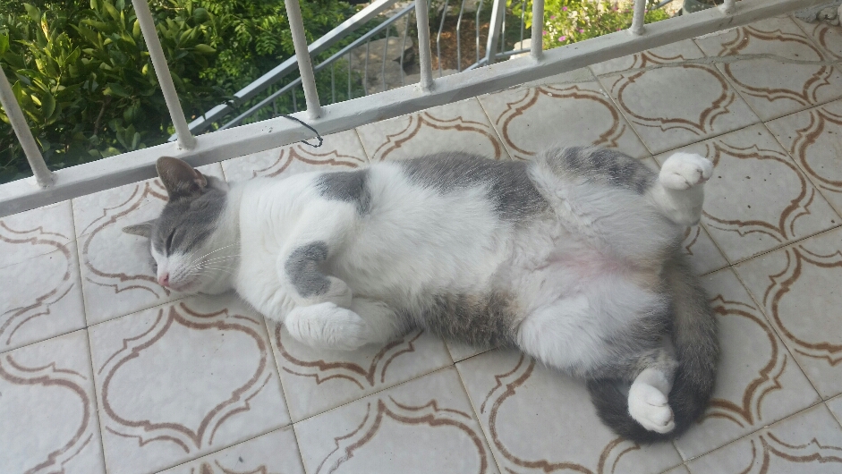 2016-08-16 22.30.38.jpg