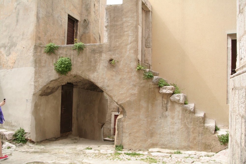 IMG_2506 (1000x667).jpg