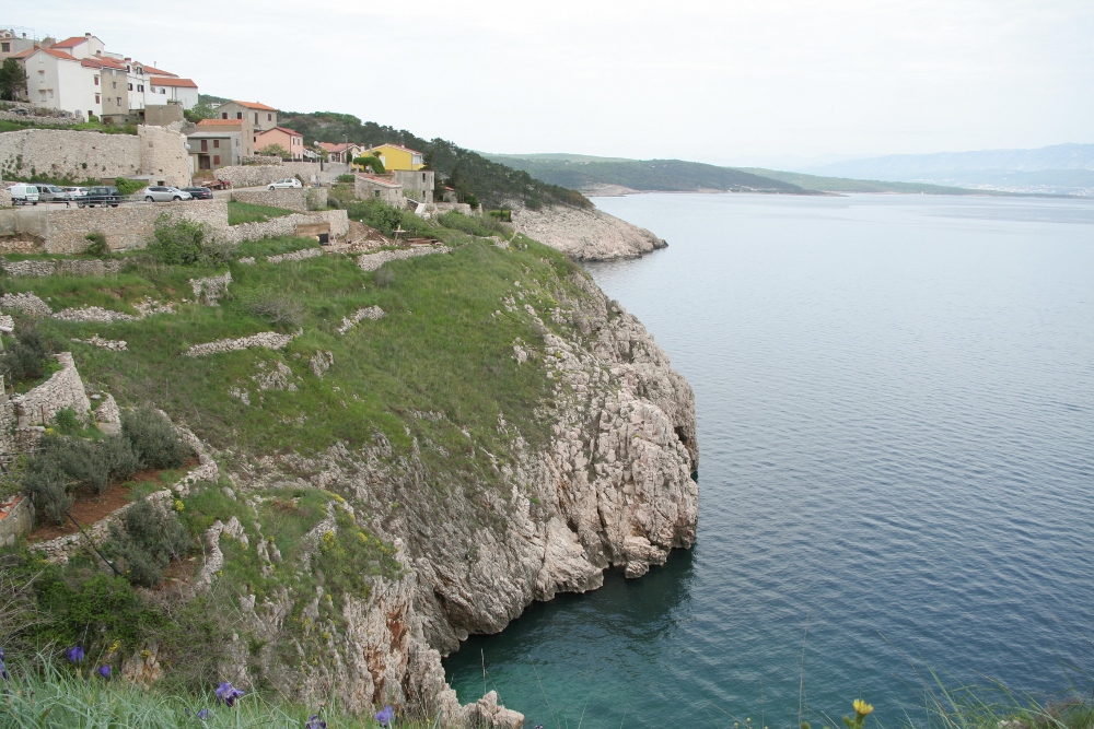 IMG_2539 (1000x667).jpg