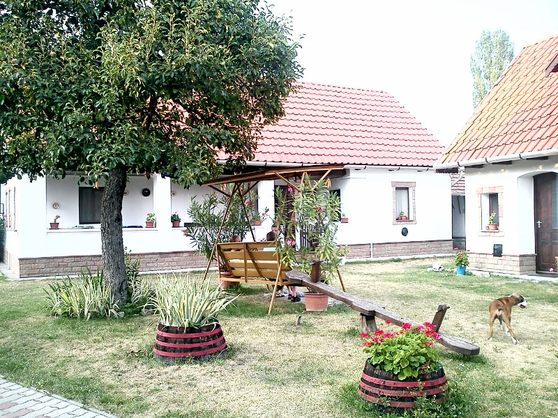 DSC00928 (800x600).jpg