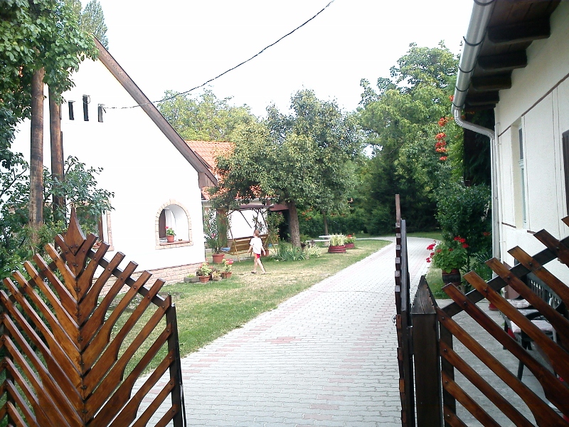 DSC00899 (800x600).jpg