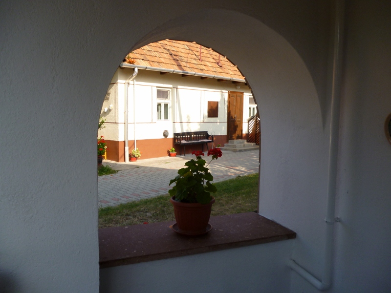 P1000307 (800x600).jpg