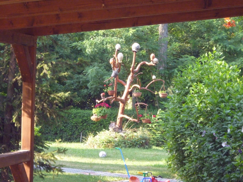 P1000305 (800x600).jpg